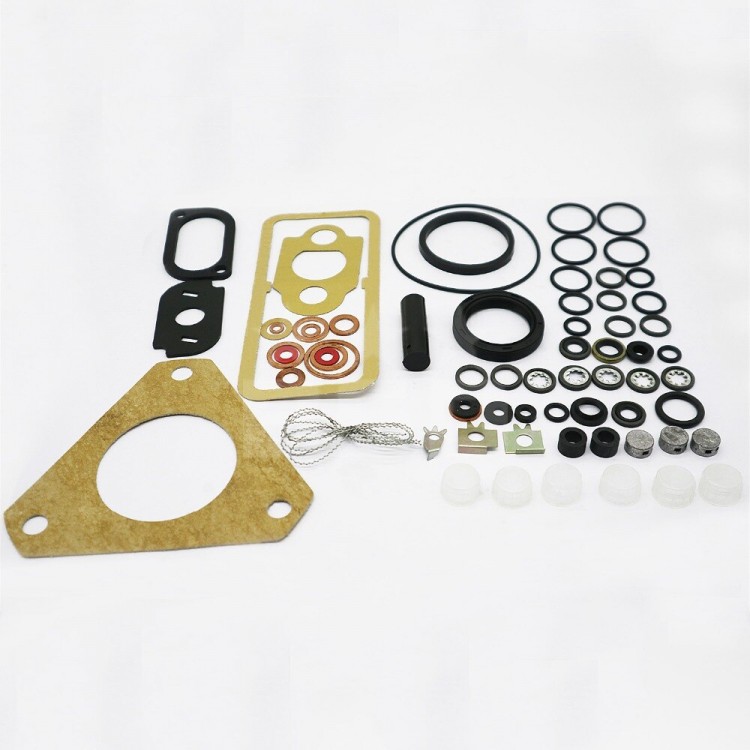 Delphi 7135-70 Overhaul Kit Delphi 7135-70 Overhaul Kit