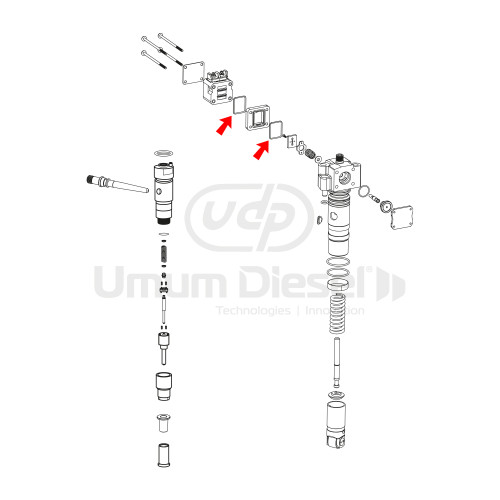 Bosch Unit Pump Square Ring