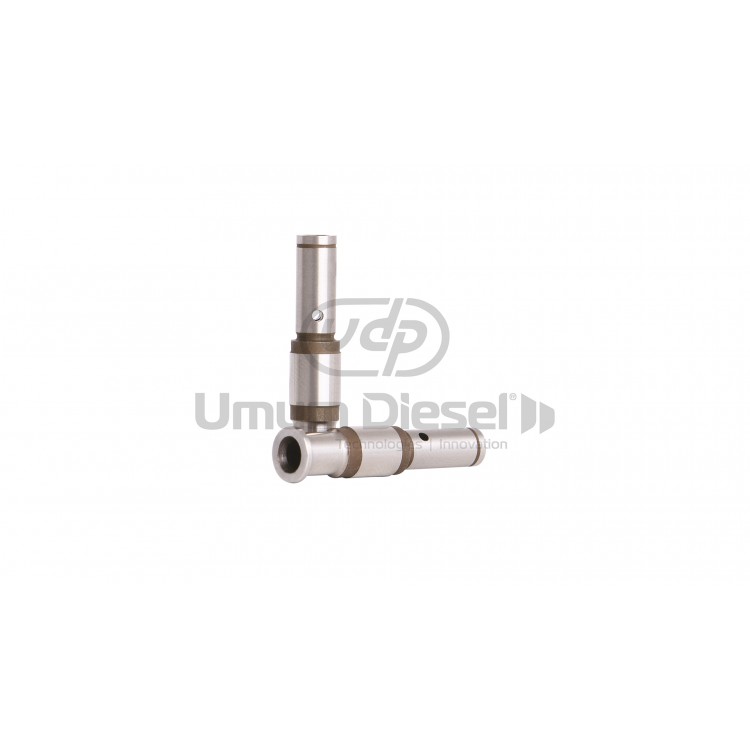 Bosch Unit Pump Valve