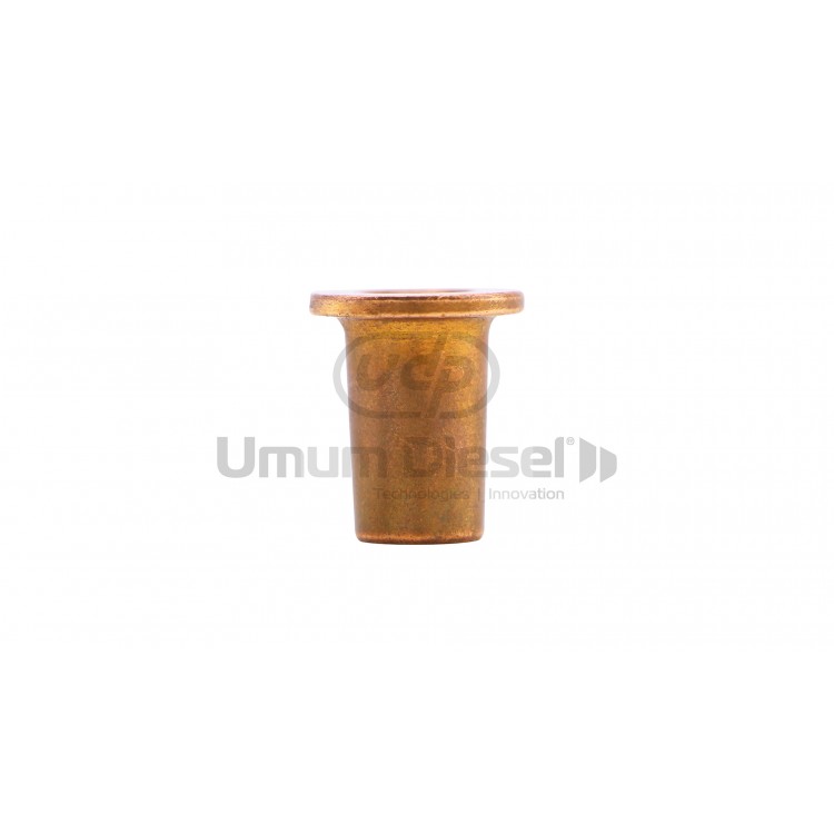 Bosch Unit Pump Bush F00ZW00003