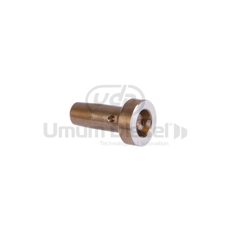 Bosch Common Rail Valf T334
