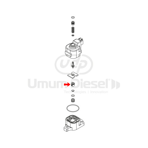 Cummins Scania HPI - ISX Solenoid Valf Somunu