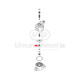 Cummins Scania HPI - ISX Solenoid Valve Nut