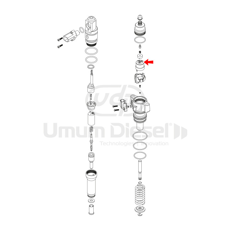 Mushrooms Valve - Volvo Delphi Valve 7206-0379