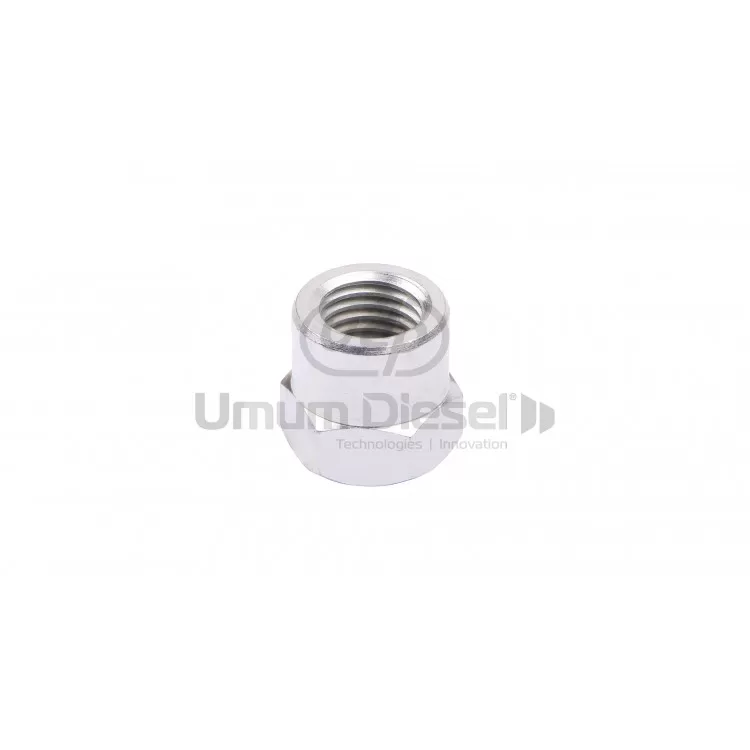 12mm Injector Nut (17 Ness)