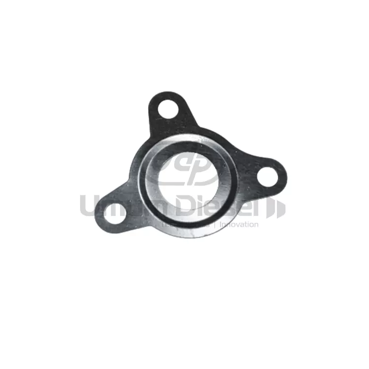 Bosch CP1 Common Rail Pump Gaskets F01M100055