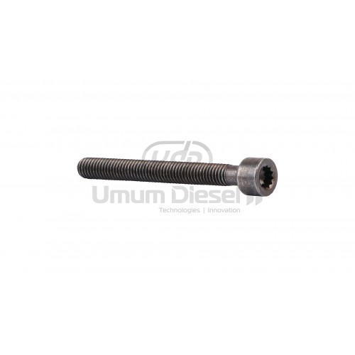 Socket head bolt with inner multipoint head 070 103 385 A