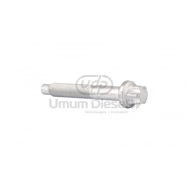 Socket head bolt with inner multipoint head PSA - 1982G5