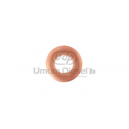 Bosch Common Rail 2.50mm Injector Washer Bosch Common Rail 2.50mm Injector Washer