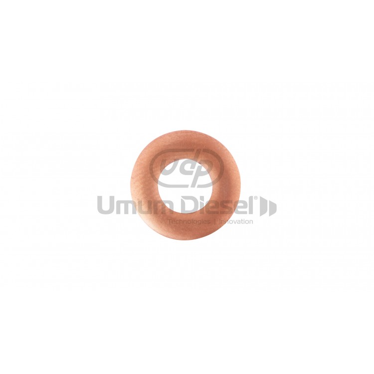 Renault Clıo 3.00mm Injector Washer