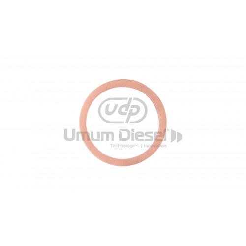 Peugeot Injector Washer Peugeot Injector Washer