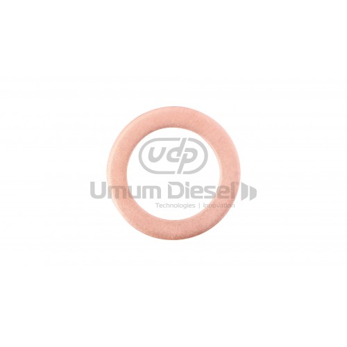 423 Injector Washer 2.00mm 423 Injector Washer 2.00mm
