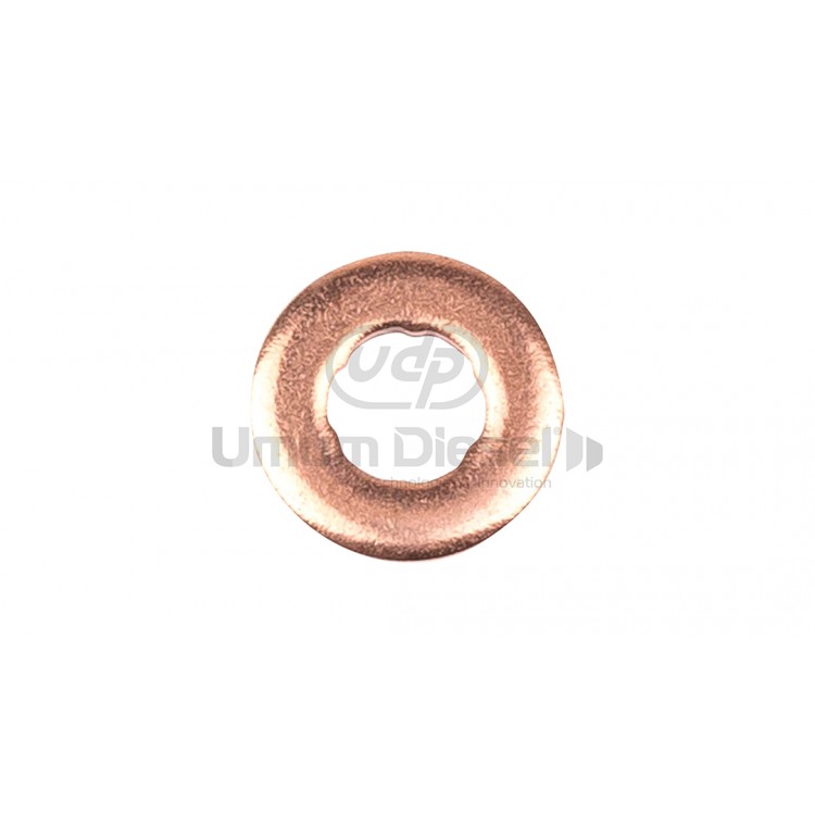 Siemens Common Rail 6 Tirnakli Pul 2.50mm