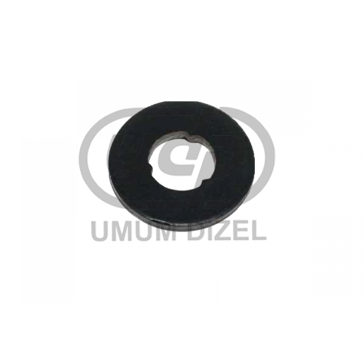 Delphi Renault - Volvo Sealıng Washer 