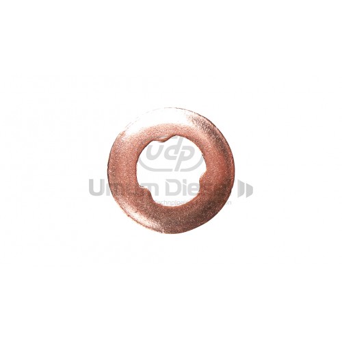 Ford Ranger Injector Washer 2.0mm (Pressed) Ford Ranger Injector Washer 2.0mm (Pressed)