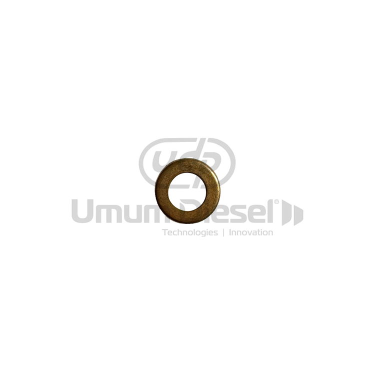 Isuzu NPR 59 Bowled Valve Washer