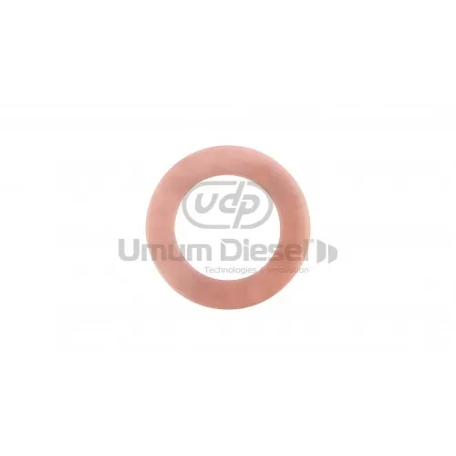 2410105002 Bosch Valve Washer