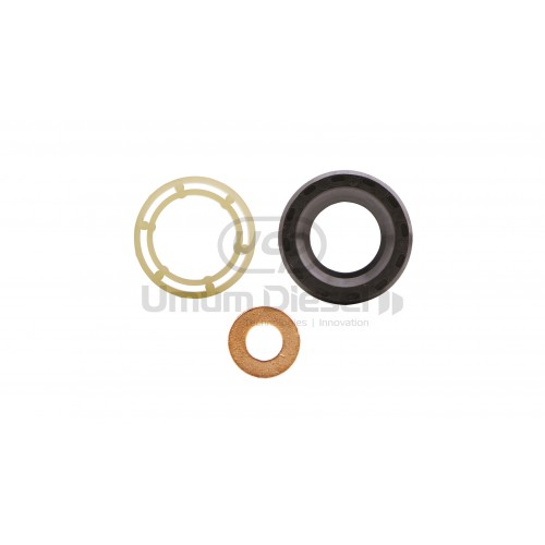 Ford 1.6 Enjektör Tamir Takım 1609850380 Ford 1.6 Enjektör Tamir Takım 1609850380