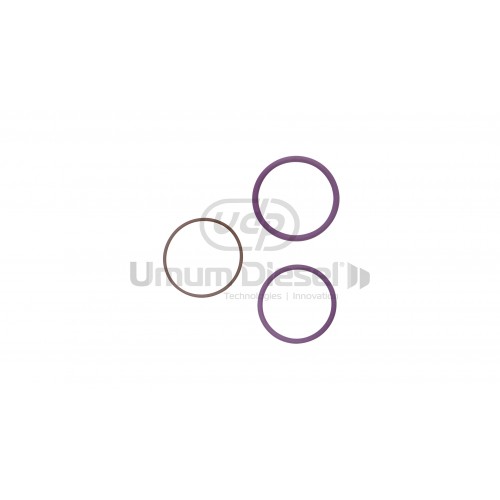 Delphi EUI Volvo O-Ring Tamir Takımı F12 OEM NO: 7135-488 Delphi EUI Volvo O-Ring Tamir Takımı F12 OEM NO: 7135-488