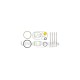 Mercedes Atego O-ring Repair Kit (Bolt) F00HN37070