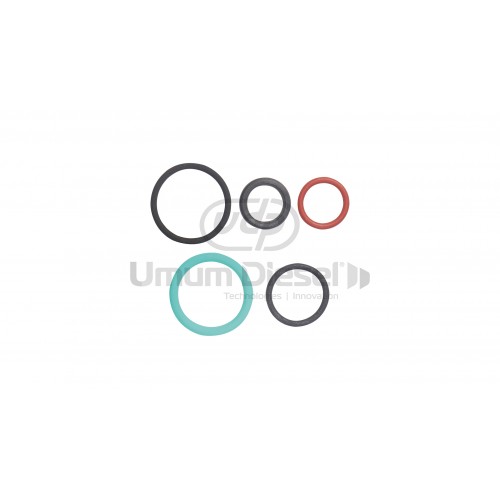 Navistar Ford Powerstroke 6.0 / 4.5 O-ring Tamir Kiti