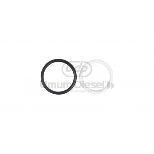 Navistar Ford Powerstroke 6.0 / 4.5 O-ring Tamir Kiti