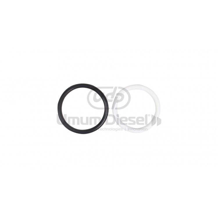 Navistar Ford Powerstroke 6.0 / 4.5 O-ring Tamir Kiti