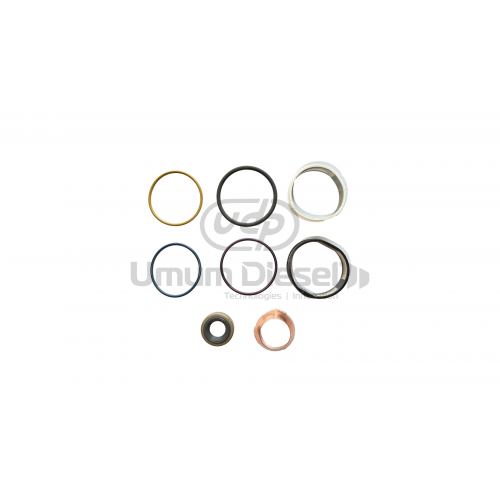 Cummins Isx Hpi O-ring Tamir Takımı 1441237 Cummins Isx Hpi O-ring Tamir Takımı 1441237