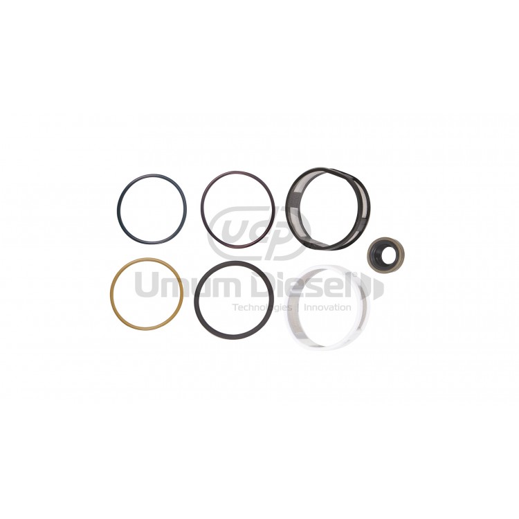 Cummins Isx Hpi O-ring Tamir Takımı (Bakır Pulsuz) 1441237 Cummins Isx Hpi O-ring Tamir Takımı (Bakır Pulsuz) 1441237