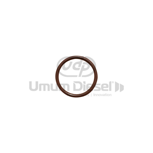 Siemens External O-Ring