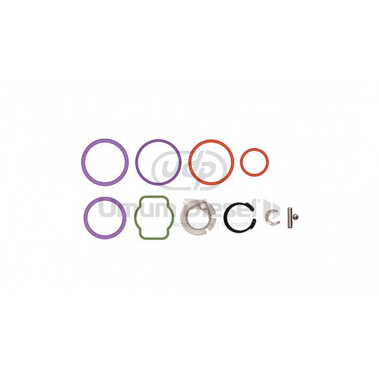 Delphi EUI Volvo F12 O-Ring Repair Kit 7135-488 Delphi EUI Volvo F12 O-Ring Repair Kit 7135-488
