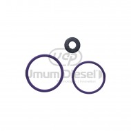 Delphi Oring Tamir Takımı Delphi Oring Tamir Takımı