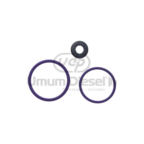 Delphi Oring Tamir Takımı