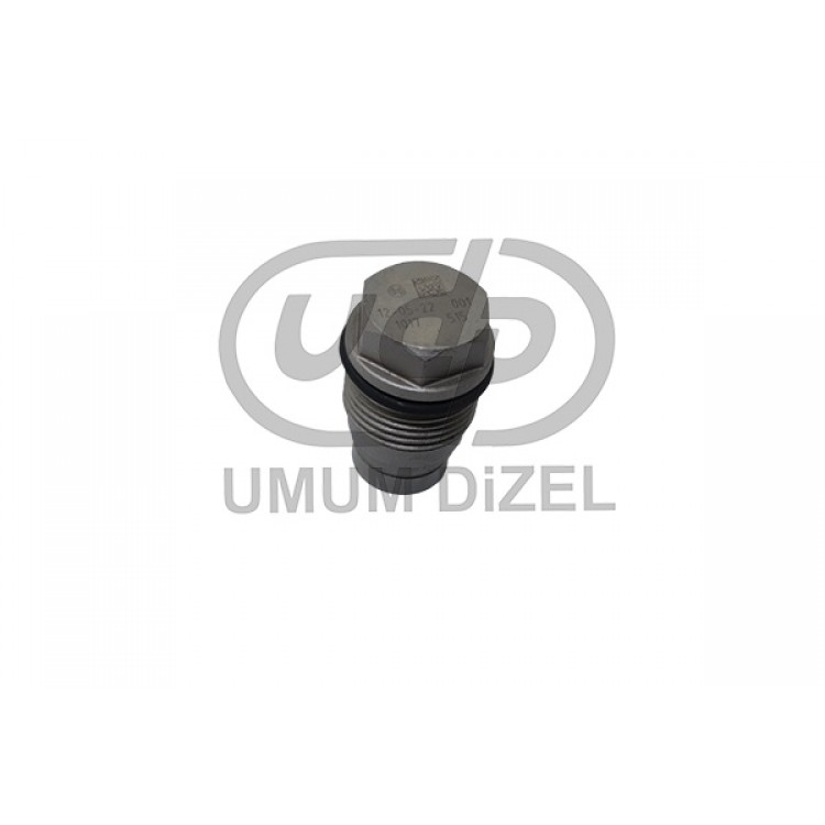 Bosch Rail Tazyik Sibobu 1110010017