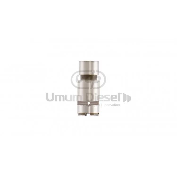 Delphi 7135-754 Valve Bıg Pin Valve Delphi 7135-754 Valve Bıg Pin Valve