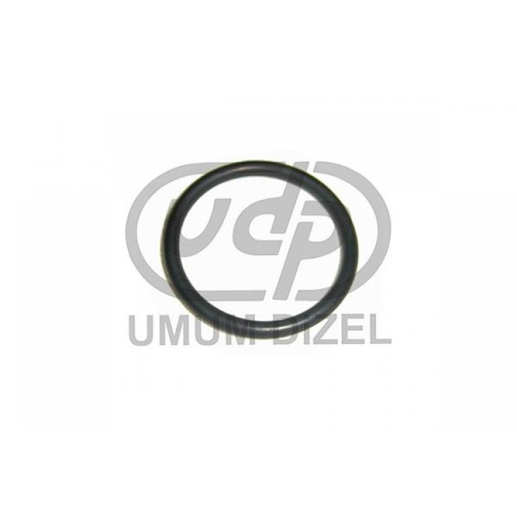  Ford Cargo Sente O-Ring