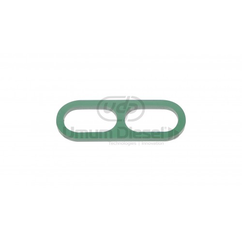 Delphi Common Rail Pompa Oringi 9307-414A