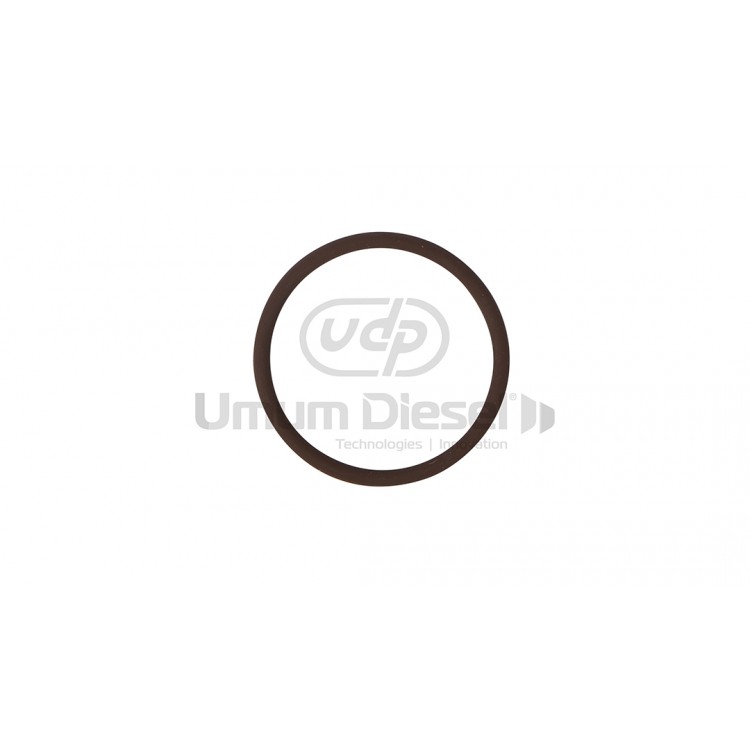 9108-152B Delphi Avans Müşür Lastiği