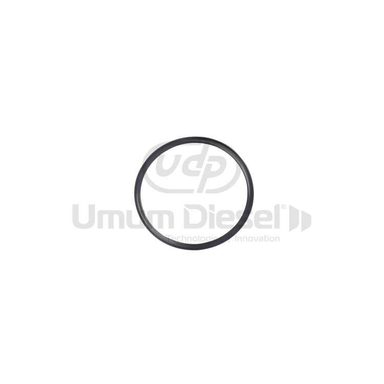 Bosch Solenoid Oringi F00RJ00220