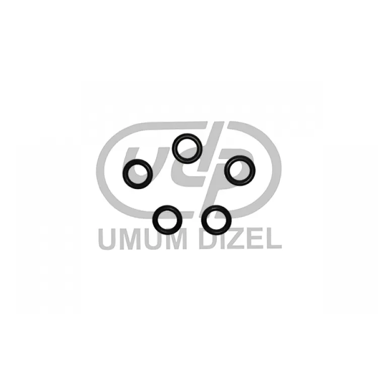 Delphi Dpc Advance Mile Rubber Ring 