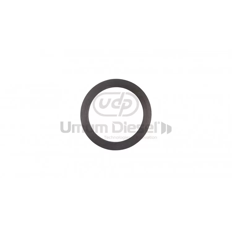 Bosh Control Rubber Ring 