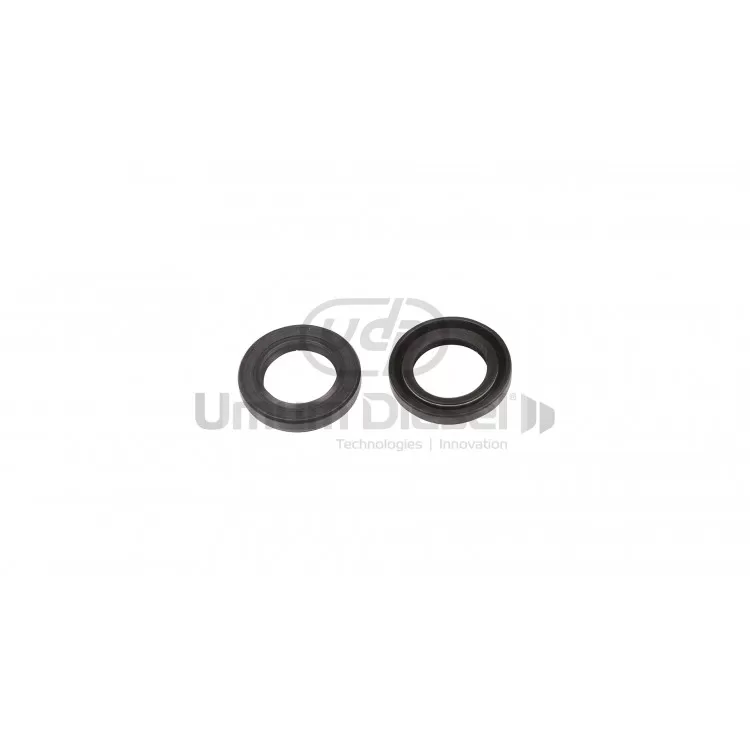 Delphi Shaft Seal 5393-252 R Delphi Shaft Seal 5393-252 R