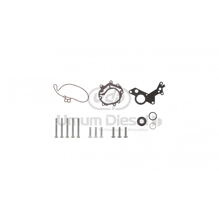 Audi and VW Vacuum Pump Repair Kit 038145209M