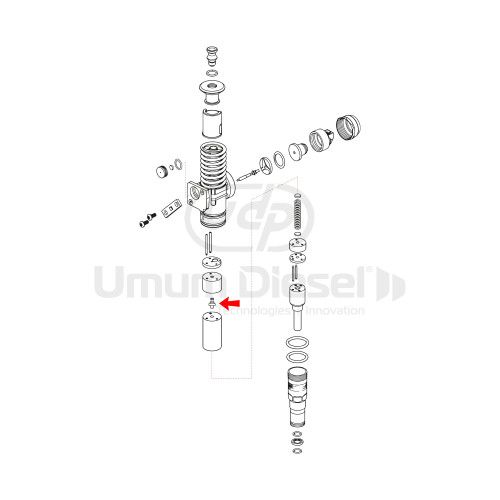 Volkswagen Unit Injector Valve 2.000