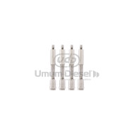 Volkswagen Unit Injector Valve 2.500