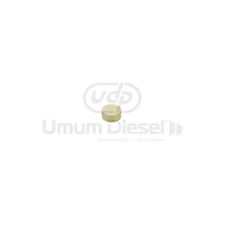 Volvo Adjusting Shim Delphi Solenoid Unit