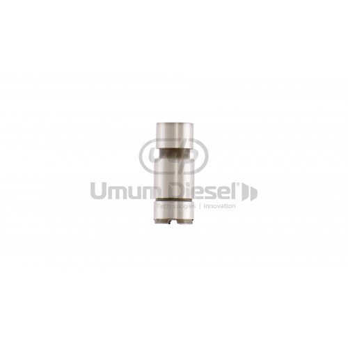 Delphi Büyük Pim Valf 7135-588 Delphi Büyük Pim Valf 7135-588